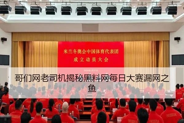 哥们网老司机揭秘黑料网每日大赛漏网之鱼